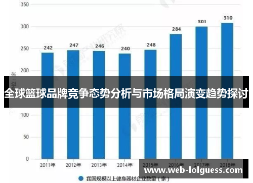 全球篮球品牌竞争态势分析与市场格局演变趋势探讨