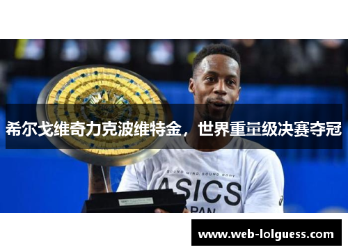 希尔戈维奇力克波维特金，世界重量级决赛夺冠