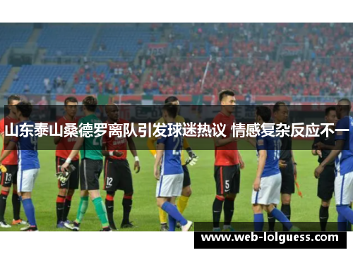山东泰山桑德罗离队引发球迷热议 情感复杂反应不一